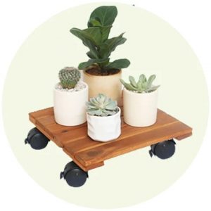 ĐẾ LÓT CHẬU CÂY BÁNH XE