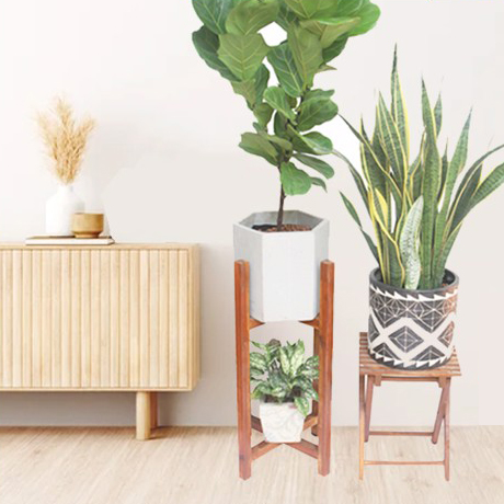 don_go_ke_go_de_cay_chan_vuong_2_tang_c64cm_3