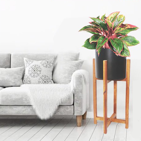 don_go_ke_go_de_cay_chan_vuong_2_tang_c64cm_4